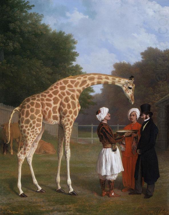 Jacques-Laurent Agasse The Nuian Giraffe (mk25) china oil painting image